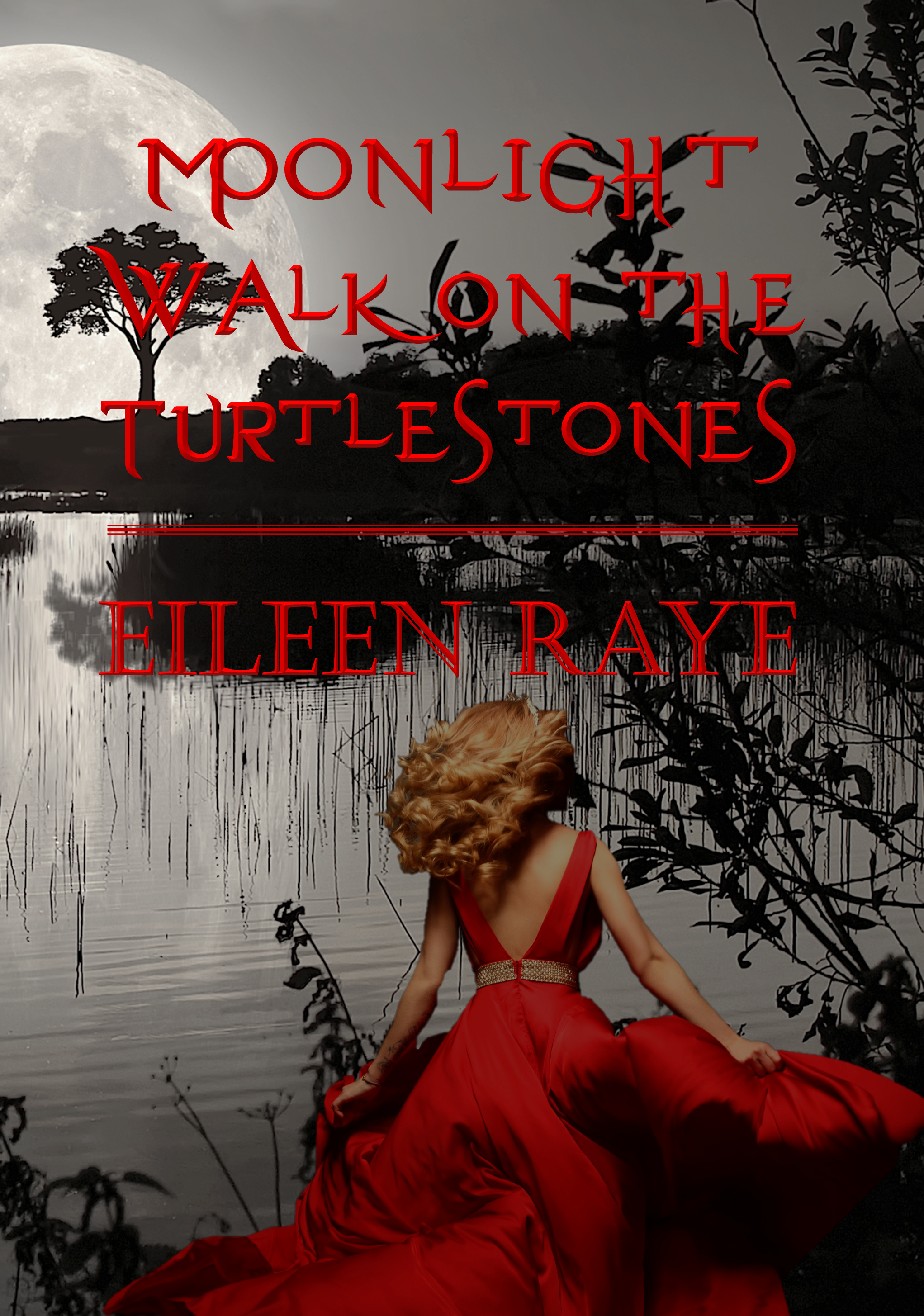 Moonlight Walk on the Turtle Stones (Moonlight Series Book 1)