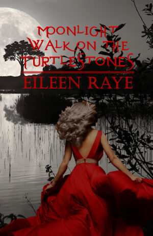 Moonlight Walk on the Turtle Stones (Moonlight Series Book 1)